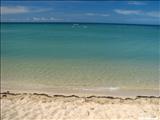 Playa Combate - CABO ROJO